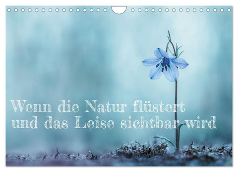 Wenn die Natur flüstert und das Leise sichtbar wird (Wandkalender 2027 DIN A4 quer), CALVENDO Monatskalender