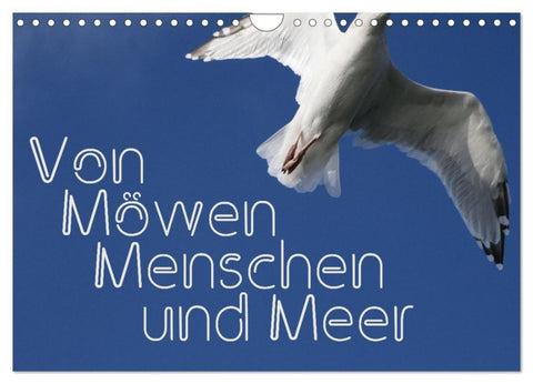 Von Möwen, Menschen und Meer (Wandkalender 2027 DIN A4 quer), CALVENDO Monatskalender