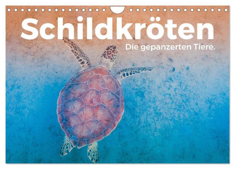 Schildkröten - Die gepanzerten Tiere. (Wandkalender 2027 DIN A4 quer), CALVENDO Monatskalender