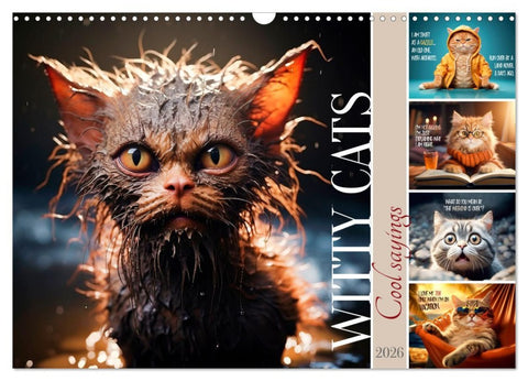 WITTY CATS Cool sayings (Wall Calendar 2026 DIN A3 landscape), CALVENDO 12 Month Wall Calendar