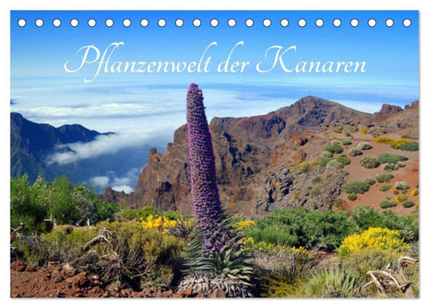 Pflanzenwelt Kanaren (Tischkalender 2027 DIN A5 quer), CALVENDO Monatskalender