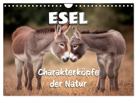 Esel - Charakterköpfe der Natur (Wandkalender 2027 DIN A4 quer), CALVENDO Monatskalender