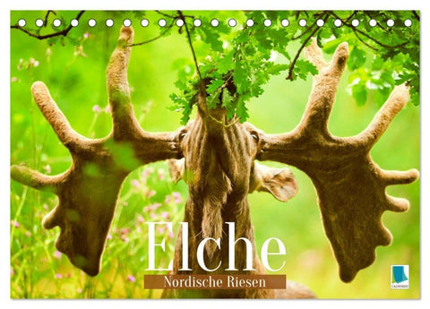 Elche: Nordische Riesen (Tischkalender 2027 DIN A5 quer), CALVENDO Monatskalender