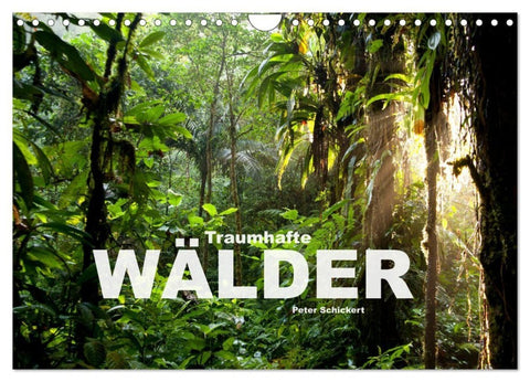 Traumhafte Wälder (Wandkalender 2027 DIN A4 quer), CALVENDO Monatskalender