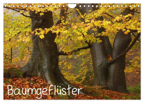 Baumgeflüster (Wandkalender 2027 DIN A4 quer), CALVENDO Monatskalender