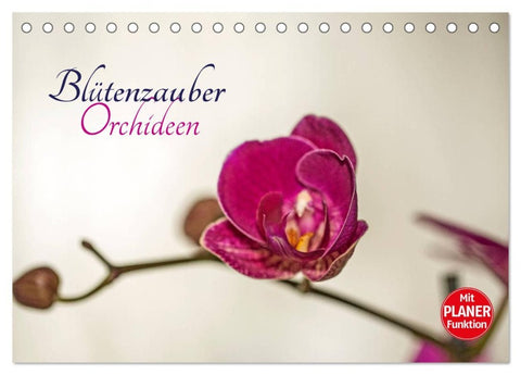Blütenzauber Orchideen (Tischkalender 2026 DIN A5 quer), CALVENDO Monatskalender