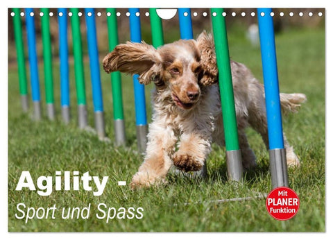 Agility - Sport und Spass (Wandkalender 2026 DIN A4 quer), CALVENDO Monatskalender