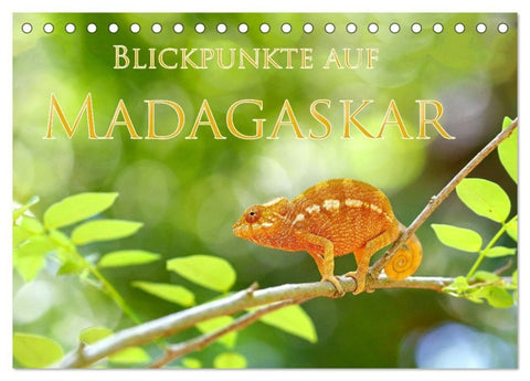 Blickpunkte auf Madagaskar (Tischkalender 2027 DIN A5 quer), CALVENDO Monatskalender