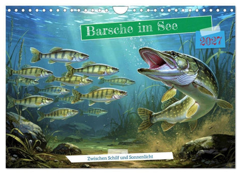 Barsche im See (Wandkalender 2027 DIN A4 quer), CALVENDO Monatskalender