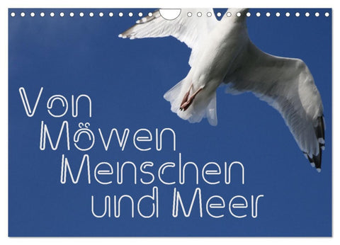 Von Möwen, Menschen und Meer (Wandkalender 2026 DIN A4 quer), CALVENDO Monatskalender