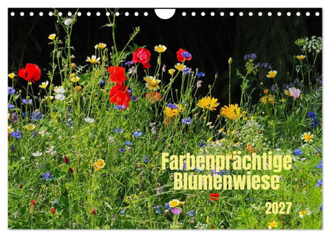 Farbenprächtige Blumenwiese (Wandkalender 2027 DIN A4 quer), CALVENDO Monatskalender