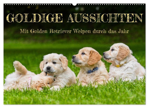 Goldige Aussichten - Mit Golden Retriever Welpen durch das Jahr (Wandkalender 2027 DIN A2 quer), CALVENDO Monatskalender