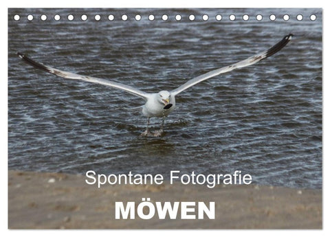 Spontane Fotografie - Möwen (Tischkalender 2026 DIN A5 quer), CALVENDO Monatskalender