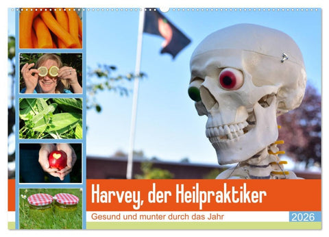 Harvey, der Heilpraktiker (Wandkalender 2026 DIN A2 quer), CALVENDO Monatskalender
