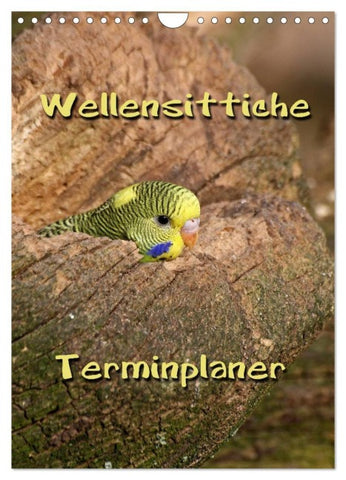 Wellensittiche Terminplaner (Wandkalender 2026 DIN A4 hoch), CALVENDO Monatskalender