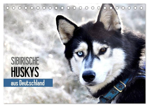Sibirische Huskys aus Deutschland (Tischkalender 2027 DIN A5 quer), CALVENDO Monatskalender