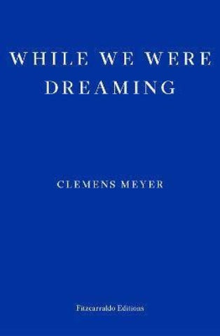 While We Were Dreaming