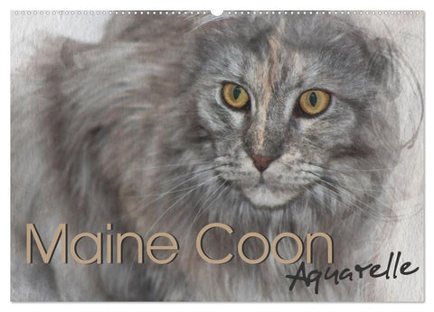 Maine Coon Aquarelle (Wandkalender 2027 DIN A2 quer), CALVENDO Monatskalender