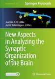 New Aspects in Analyzing the Synaptic Organization of the Brain