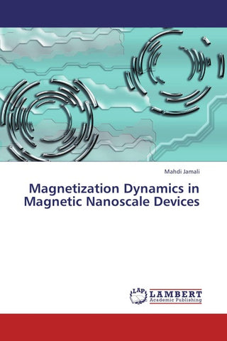 Magnetization Dynamics in Magnetic Nanoscale Devices