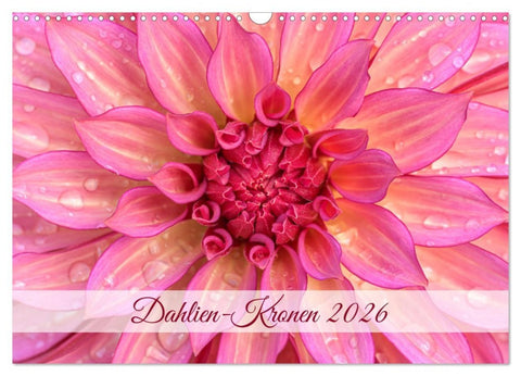 Dahlien-Kronen (Wandkalender 2026 DIN A3 quer), CALVENDO Monatskalender