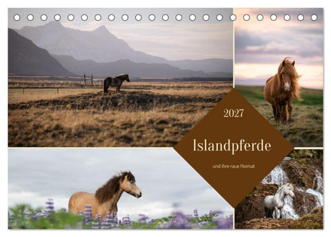 Islandpferde und ihre raue Heimat (Tischkalender 2027 DIN A5 quer), CALVENDO Monatskalender