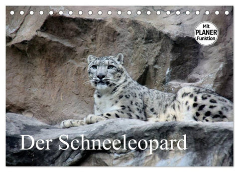 Der Schneeleopard (Tischkalender 2027 DIN A5 quer), CALVENDO Monatskalender