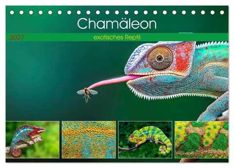 Chamäleon - exotisches Reptil (Tischkalender 2027 DIN A5 quer), CALVENDO Monatskalender