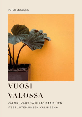 Vuosi Valossa