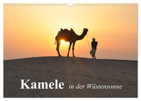 Kamele in der Wüstensonne (Wandkalender 2027 DIN A3 quer), CALVENDO Monatskalender