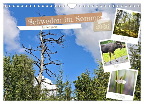 Schweden im Sommer (Wandkalender 2026 DIN A4 quer), CALVENDO Monatskalender