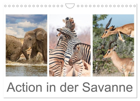 Action in der Savanne (Wandkalender 2027 DIN A4 quer), CALVENDO Monatskalender