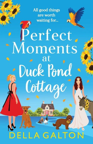 Perfect Moments at Duck Pond Cottage