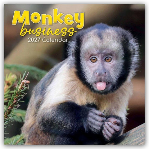 Monkey Business 2027 – 16-Monatskalender