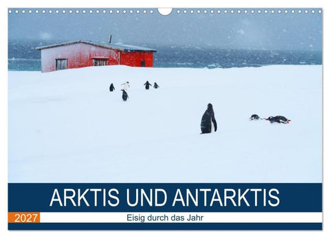 Arktis und Antarktis - Eisig durch das Jahr (Wandkalender 2027 DIN A3 quer), CALVENDO Monatskalender