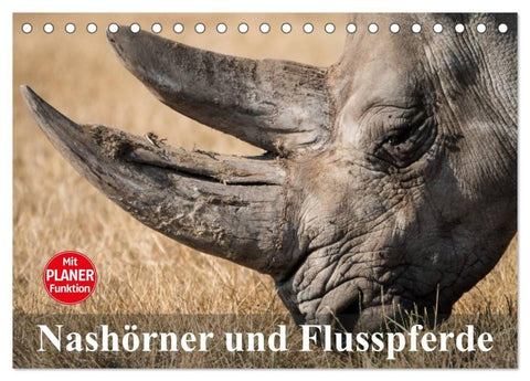 Nashörner und Flusspferde (Tischkalender 2027 DIN A5 quer), CALVENDO Monatskalender