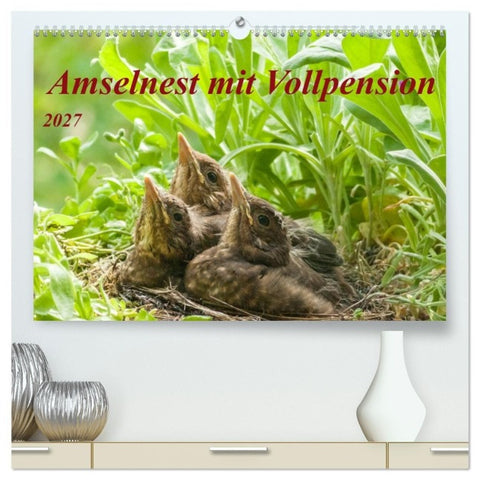 Amselnest mit Vollpension (hochwertiger Premium Wandkalender 2027 DIN A2 quer), Kunstdruck in Hochglanz
