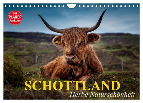 Schottland. Herbe Naturschönheit (Wandkalender 2026 DIN A4 quer), CALVENDO Monatskalender