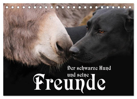 Der schwarze Hund und seine Freunde (Tischkalender 2026 DIN A5 quer), CALVENDO Monatskalender