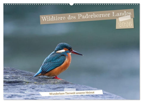 Wildtiere des Paderborner Landes (Wandkalender 2026 DIN A2 quer), CALVENDO Monatskalender