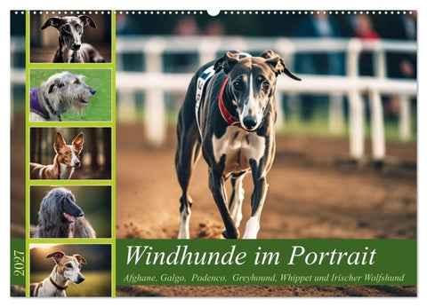 Windhunde im Portrait (Wandkalender 2027 DIN A2 quer), CALVENDO Monatskalender