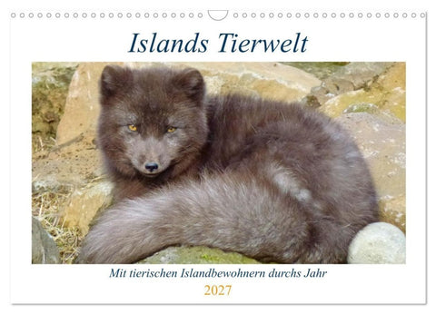 Islands Tierwelt - Mit tierischen Inselbewohnern durchs Jahr (Wandkalender 2027 DIN A3 quer), CALVENDO Monatskalender