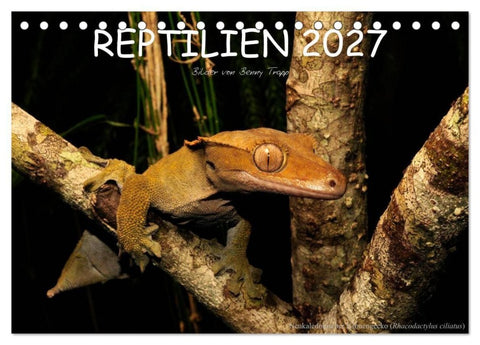 REPTILIEN (Tischkalender 2027 DIN A5 quer), CALVENDO Monatskalender
