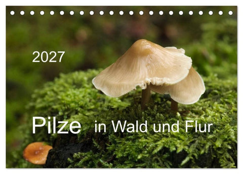 Pilze in Wald und Flur (Tischkalender 2027 DIN A5 quer), CALVENDO Monatskalender
