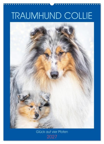 Traumhund Collie - Glück auf vier Pfoten (Wandkalender 2027 DIN A2 hoch), CALVENDO Monatskalender