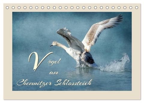 Vögel am Chemnitzer Schlossteich (Tischkalender 2027 DIN A5 quer), CALVENDO Monatskalender