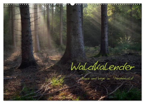 Waldkalender (Wandkalender 2027 DIN A2 quer), CALVENDO Monatskalender