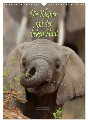 Die Kleinen mit der dicken Haut (Wandkalender 2026 DIN A3 hoch), CALVENDO Monatskalender