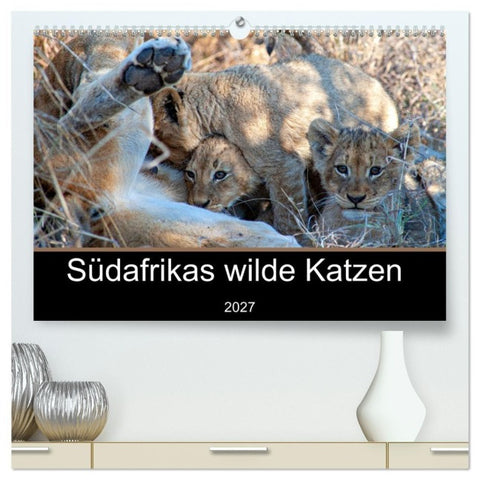 Südafrikas wilde Katzen (hochwertiger Premium Wandkalender 2027 DIN A2 quer), Kunstdruck in Hochglanz
