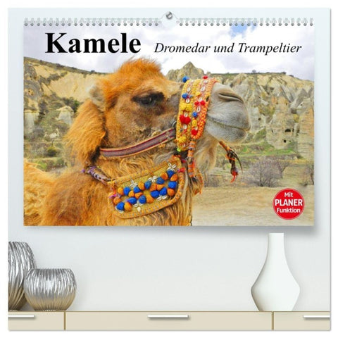 Kamele. Dromedar und Trampeltier (hochwertiger Premium Wandkalender 2027 DIN A2 quer), Kunstdruck in Hochglanz